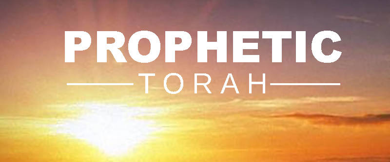 		                                		                                    <a href="https://www.kol-ami.org/event/prophetic-torah6.html"
		                                    	target="">
		                                		                                <span class="slider_title">
		                                    Prophetic Torah: Monthly Torah Study		                                </span>
		                                		                                </a>
		                                		                                
		                                		                            		                            		                            